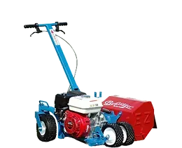 BED EDGER