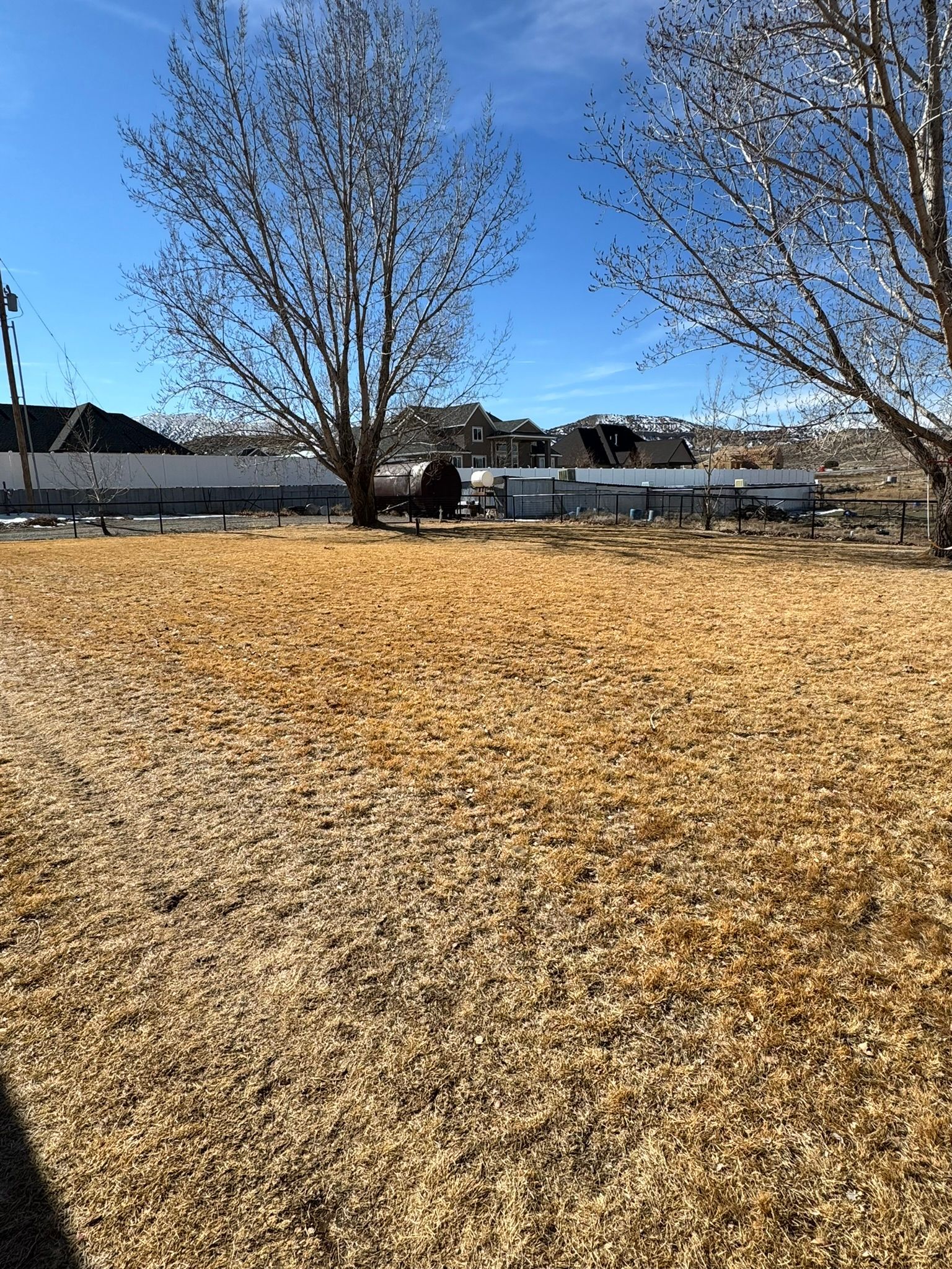 A field of dry grass with trees in the background on a sunny day.