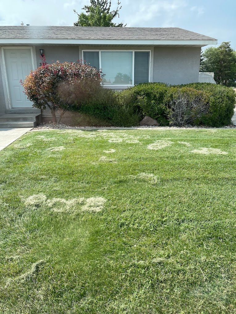 A house with a lush green lawn in front of it.