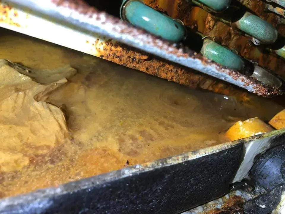 Water-filled HVAC unit pan with visible rust and corrosion, near green refrigerant lines.