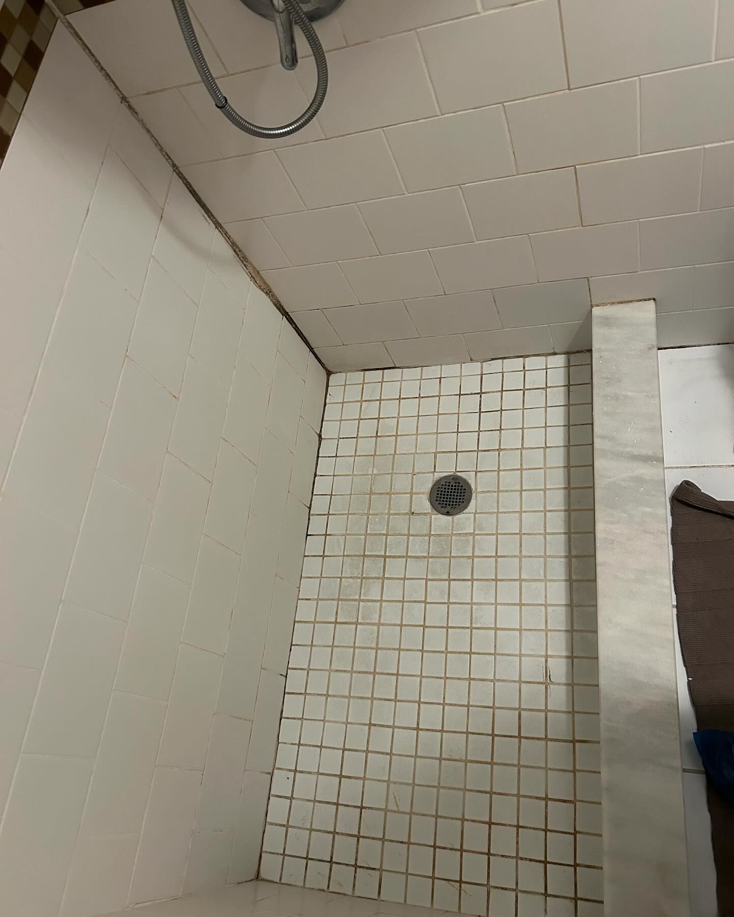 Tiled shower stall with a wall-mounted showerhead and drain, viewed from above.