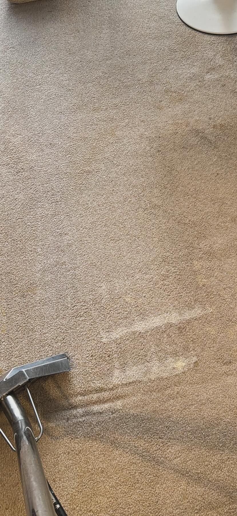 Close-up of beige carpet with a small vacuum cleaner head at the lower left edge.