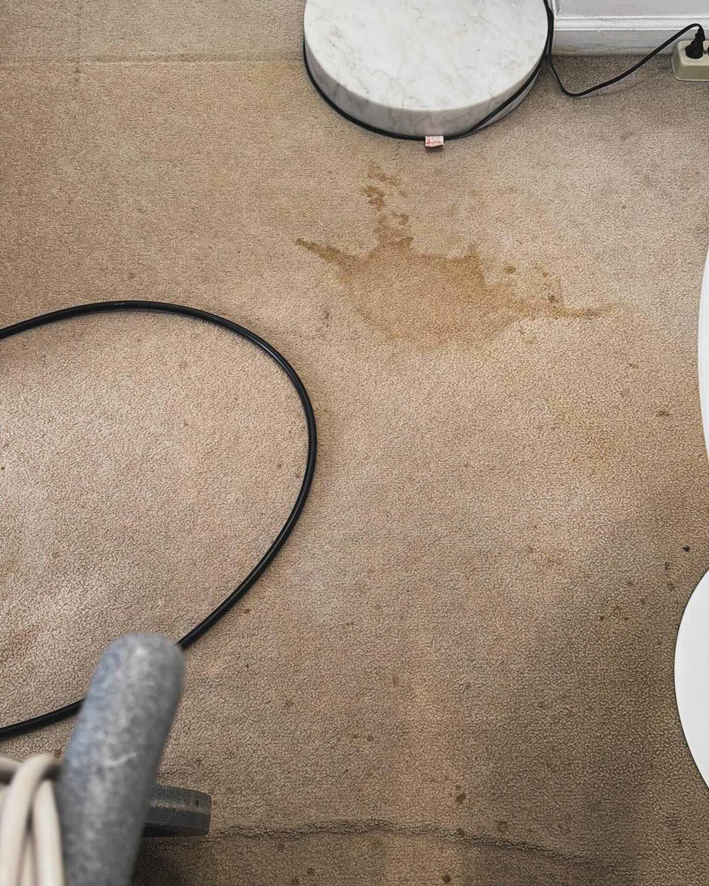 Tan carpet with a brown stain, black cable, and round white appliance base nearby