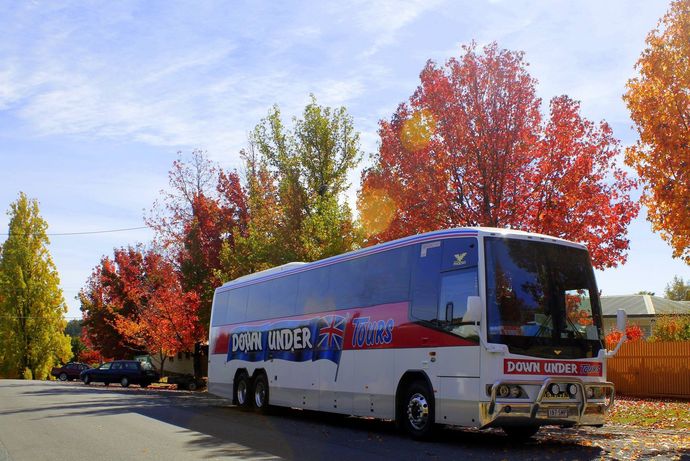Woman Travelling Solo — Queensland, AUS — Down Under Tours