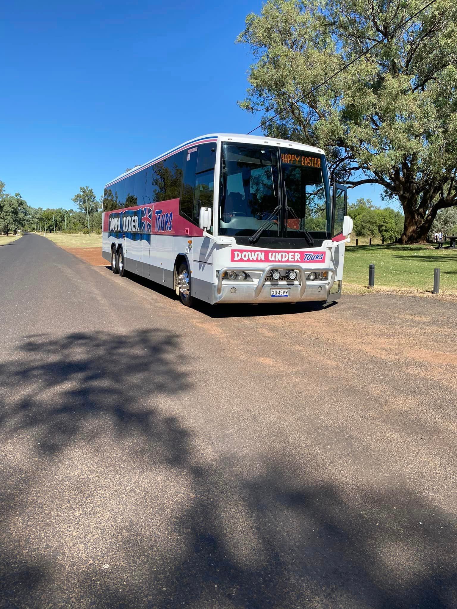 Tour Bus — Queensland, AUS — Down Under Tours