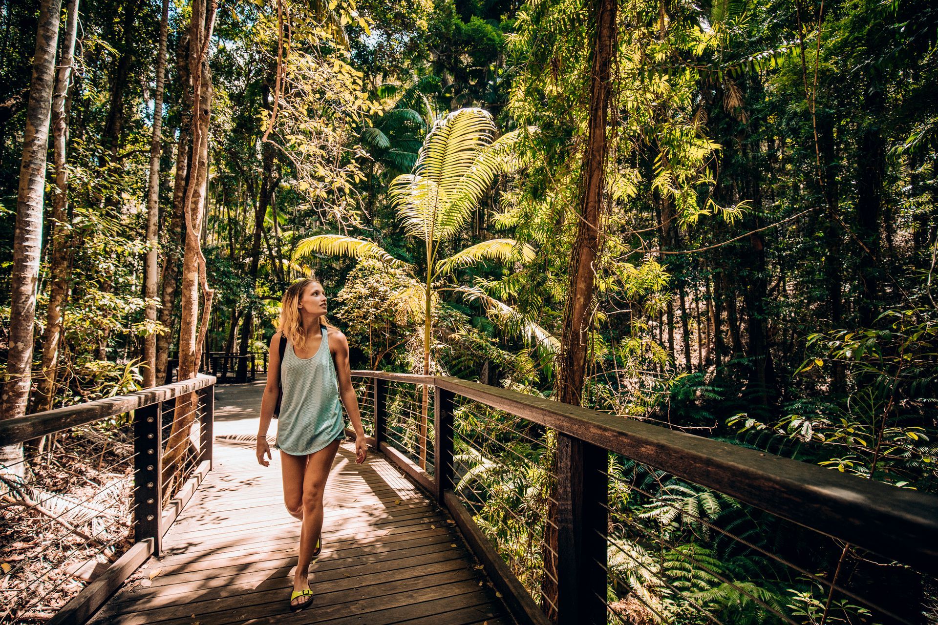 Day Trip — Queensland, AUS — Down Under Tours