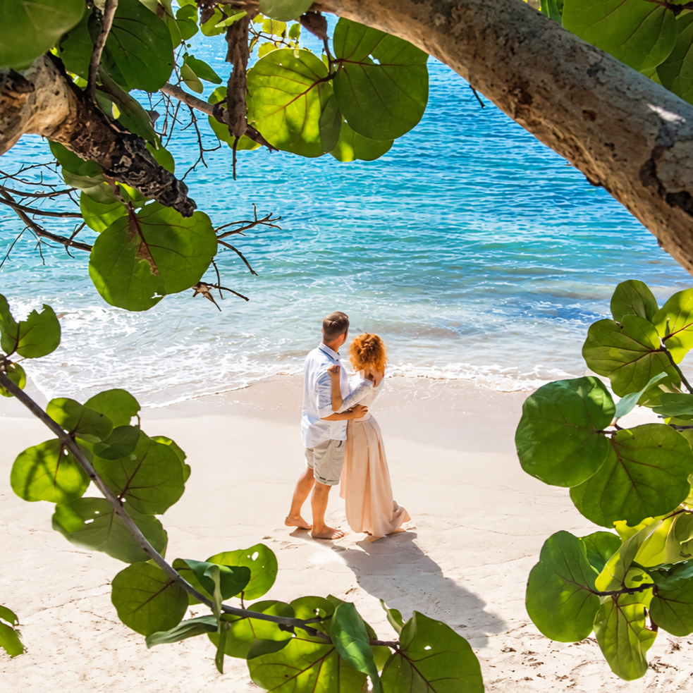 Couple embracing on a beach framed by green leaves
