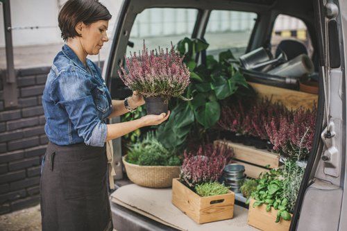 Woman Holding A Plants — Houston, TX — Los Flores Movers