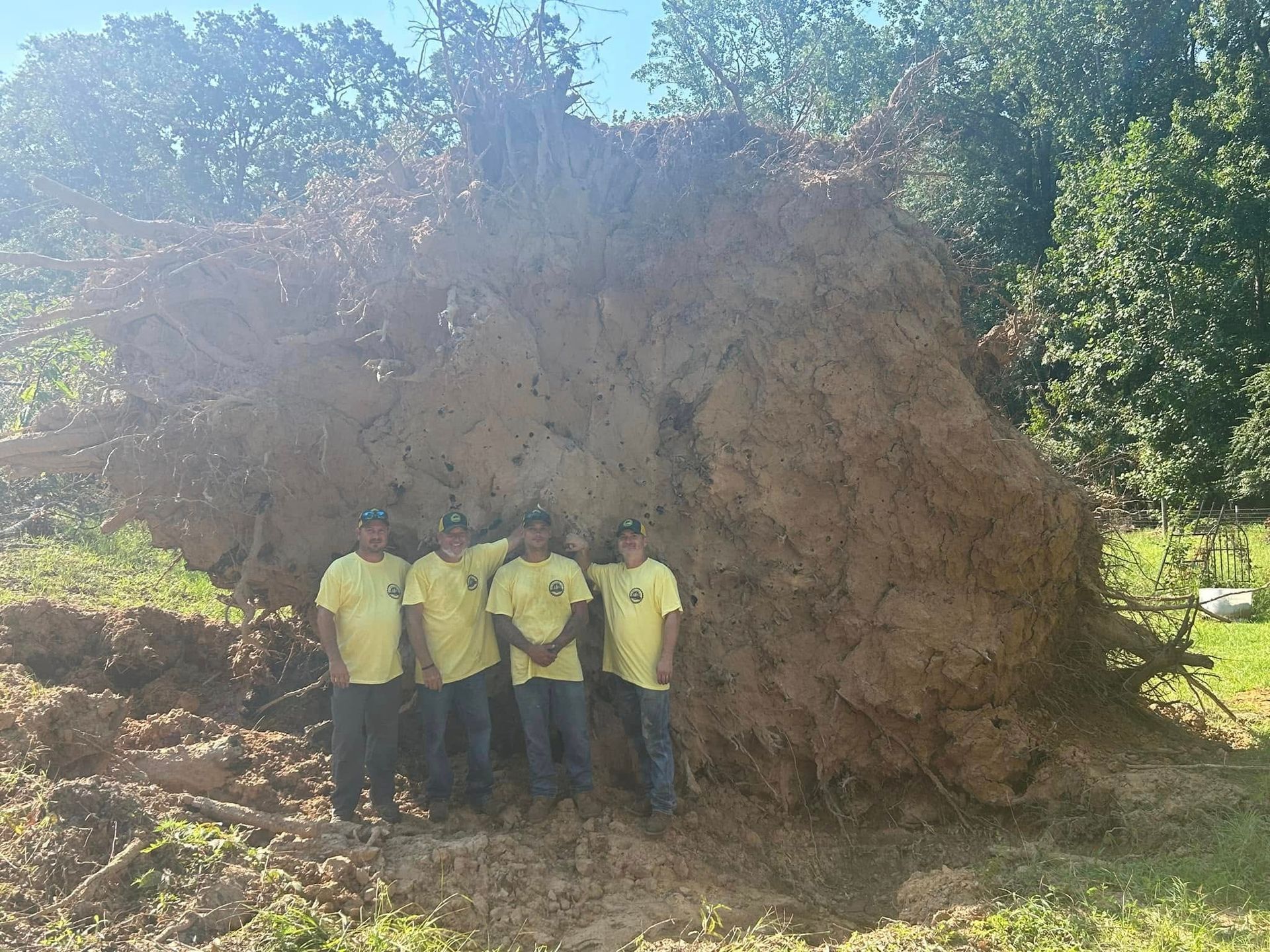 Five people in yellow shirts stand beside a huge uprooted tree in a wooded area.