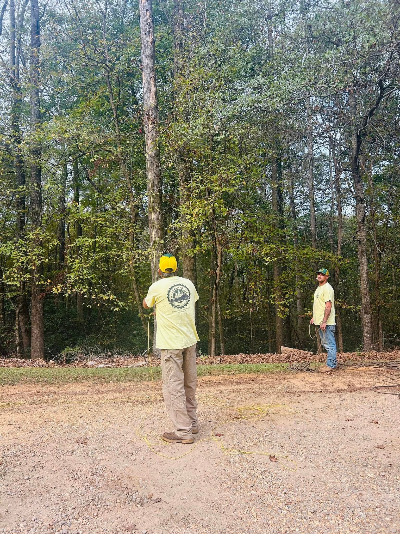 Two people stand on a dirt clearing beside a wooded area, one in a yellow shirt and hard hat.