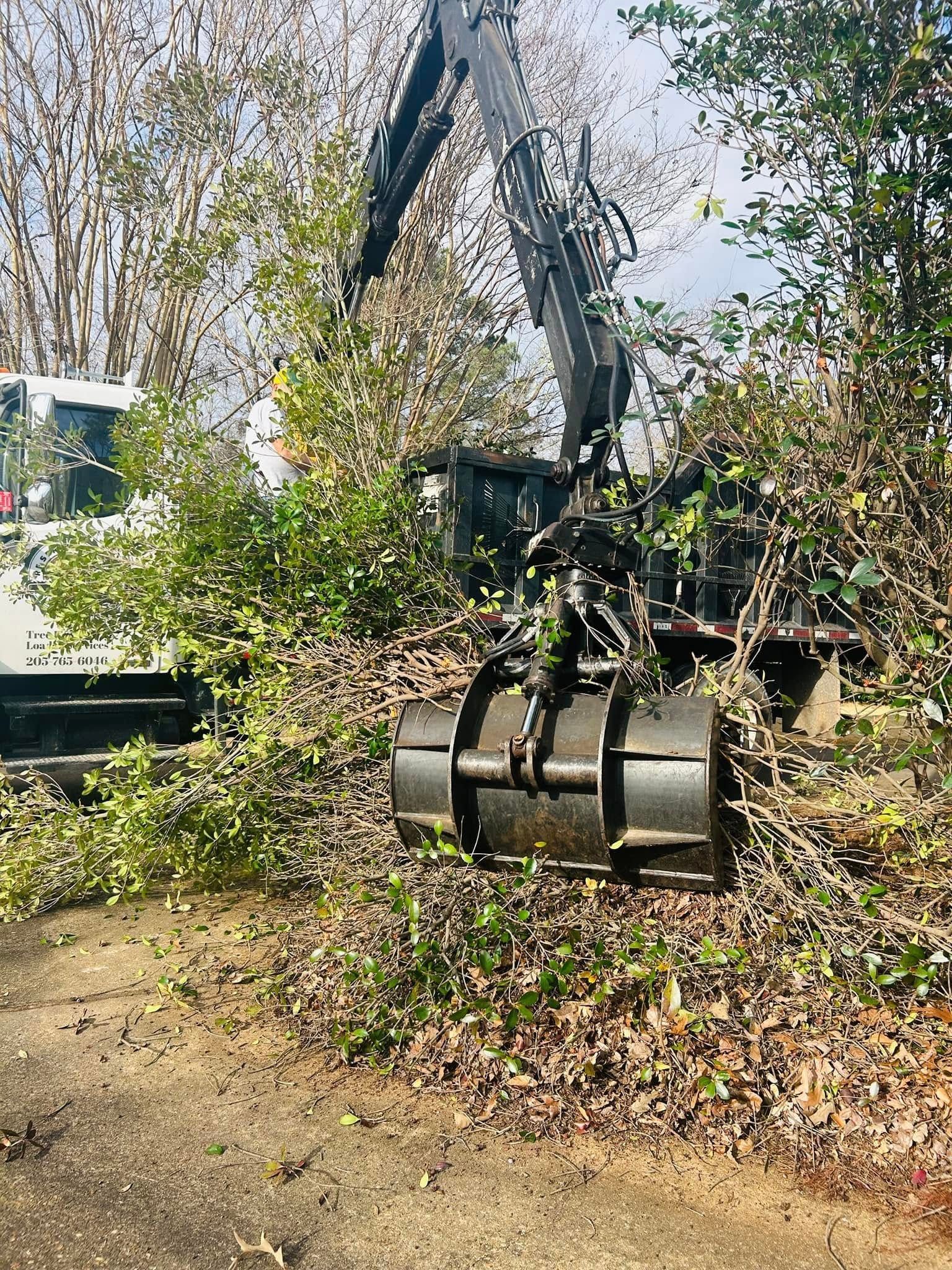 Excavator bucket in a wooded lot, lifting branches and brush near a dirt path.