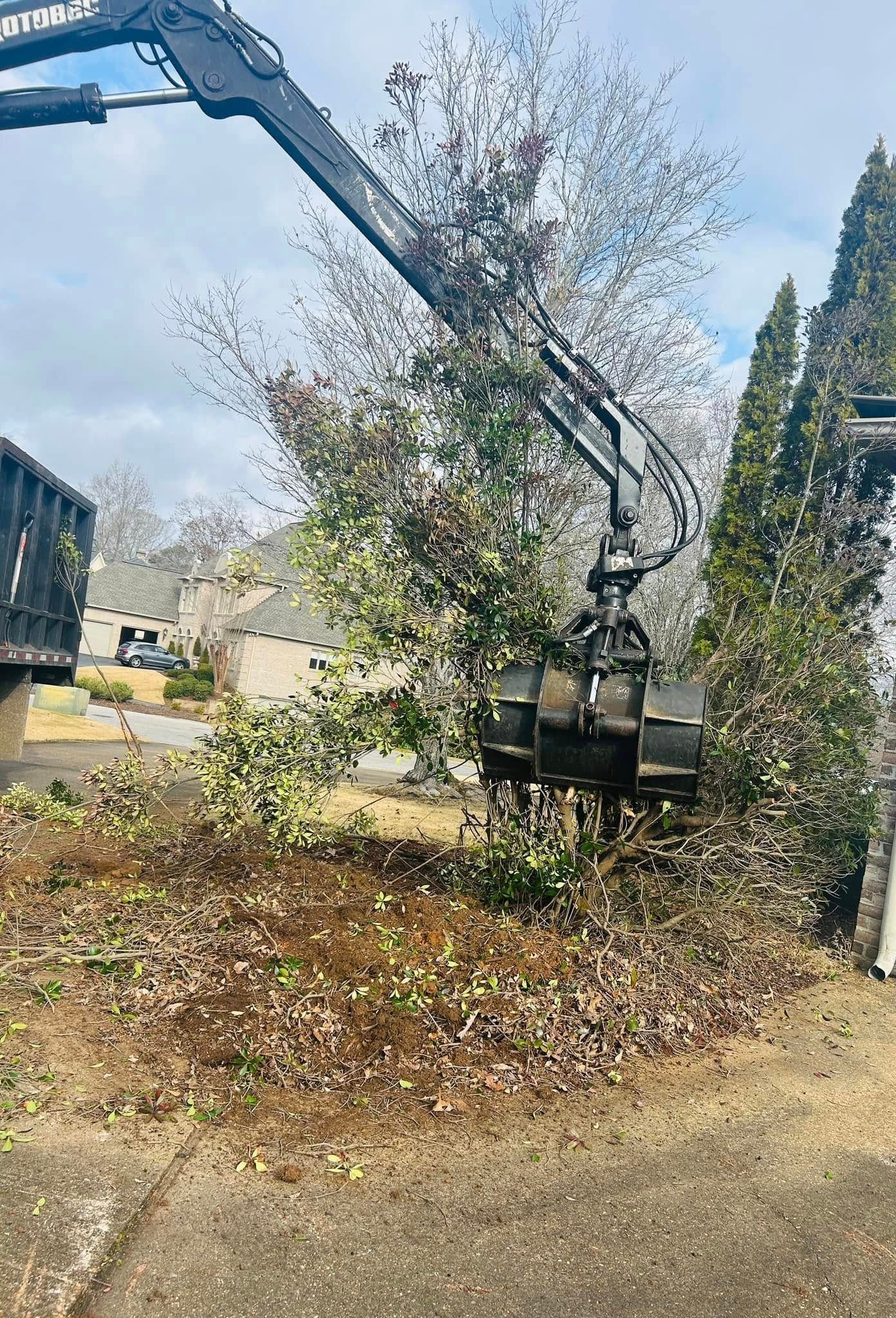 Excavator trimming a tall tree beside a driveway, with branches piled on the ground.