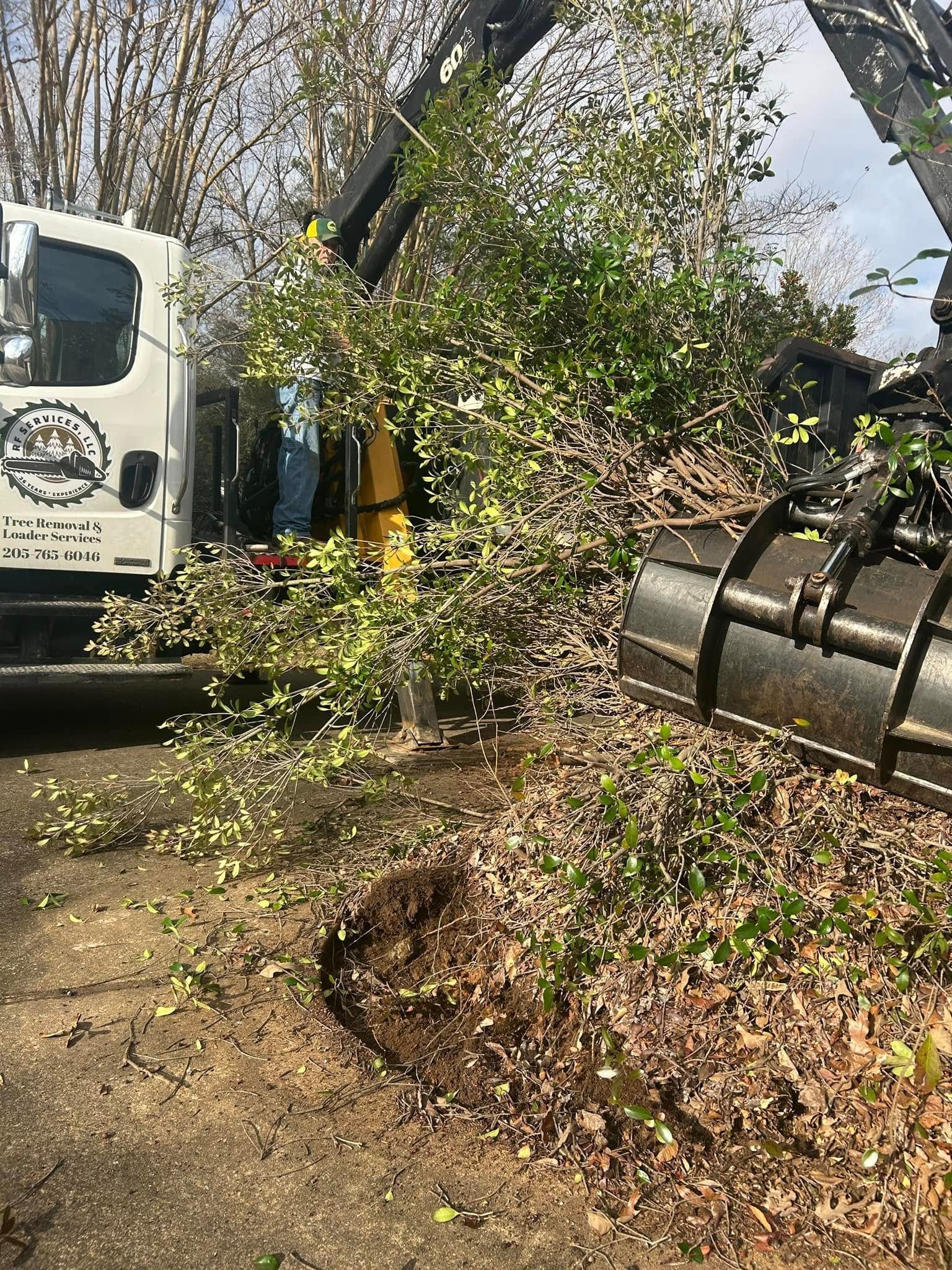 Excavator clearing brush beside a truck on a wooded roadside in daylight