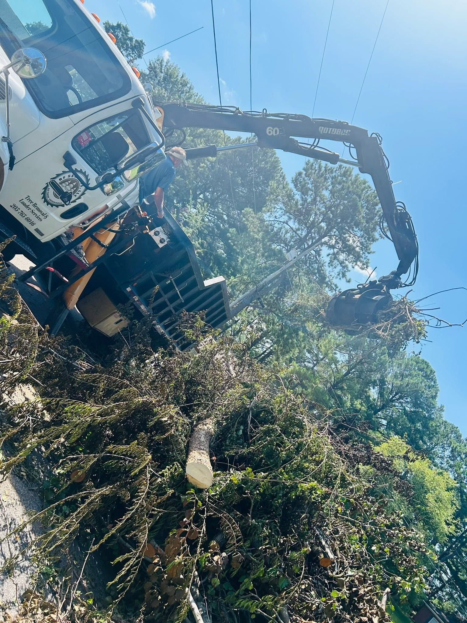 Crane truck lifting a large tree branch over dense green trees on a sunny day