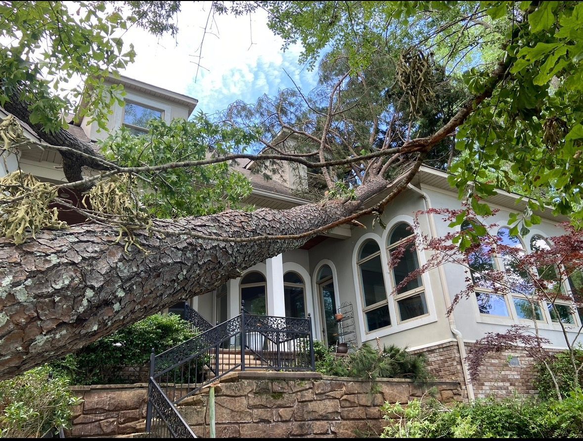 Large tree overhangs a white house with arched windows and stone steps in a lush garden.