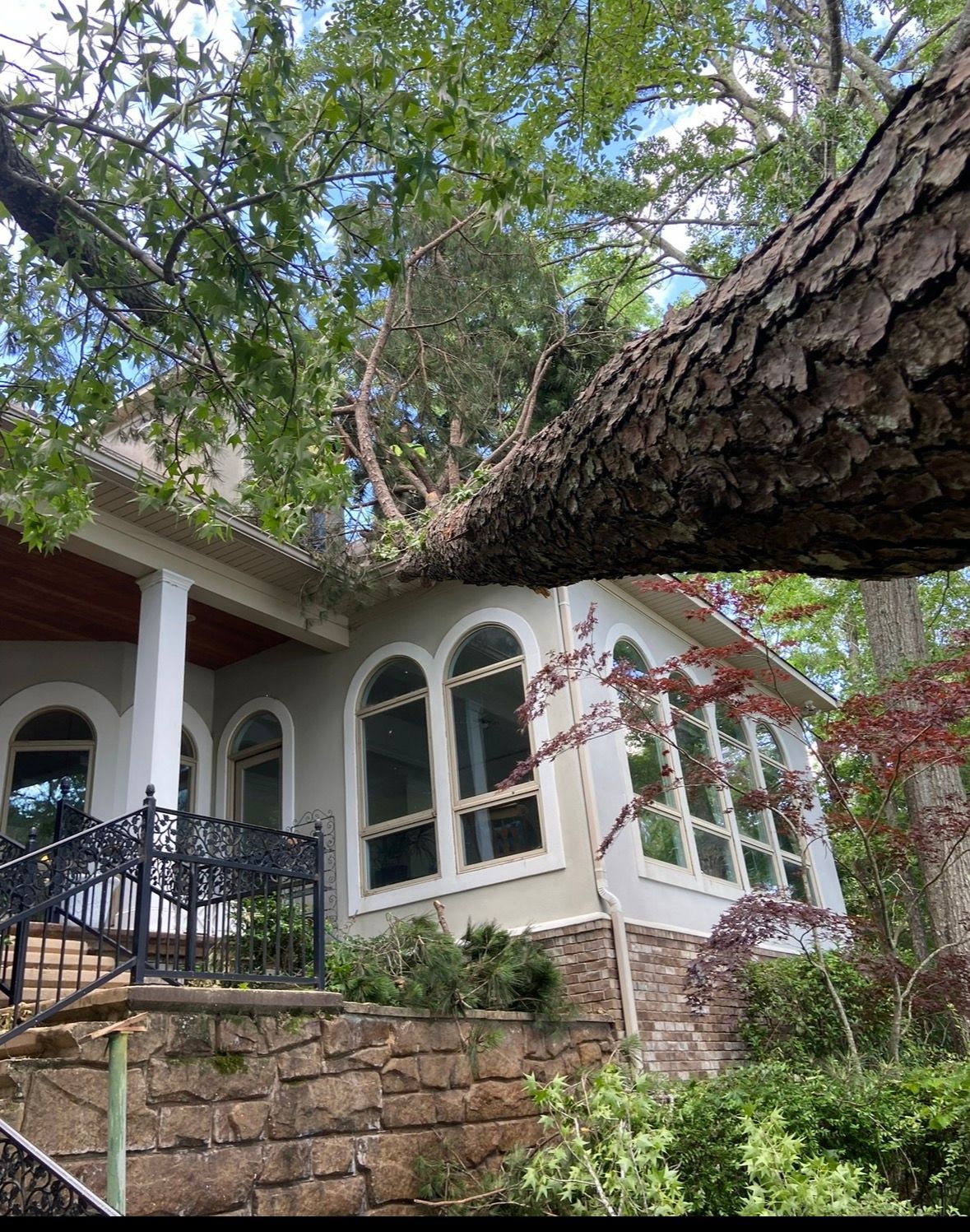 Stone house with arched windows and porch, partly framed by a large tree branch and surrounded by greenery.
