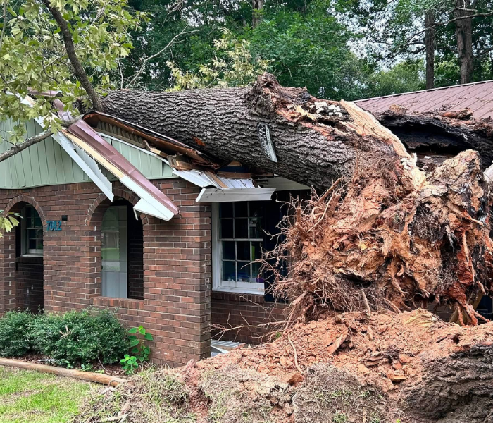 Large uprooted tree has fallen onto a brick house, crushing the roof and porch.