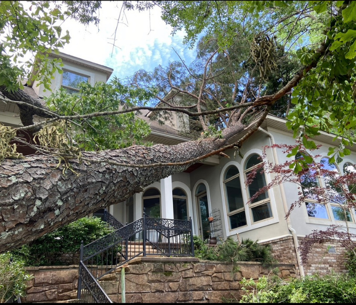 Large fallen tree limb resting on a house with arched windows and stone steps