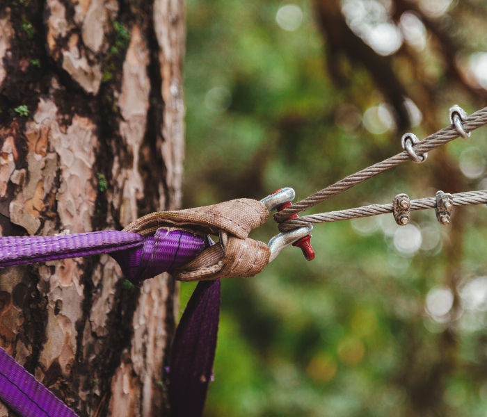Purple hammock strap tied to a tree with metal clips securing it to cables outdoors