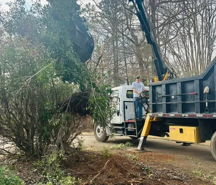 Worker on a truck using a crane to clear branches in a wooded area.