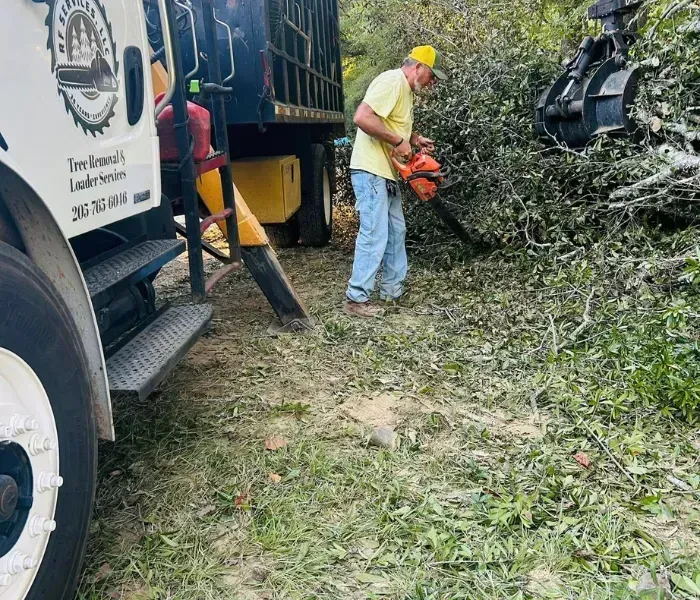 Worker using a chainsaw to clear fallen branches beside a truck in a wooded area