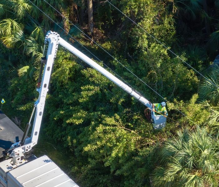 Aerial lift arm reaching into dense green trees beside a roof, trimming or clearing foliage.