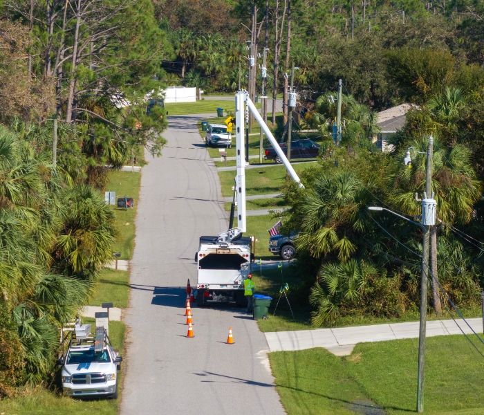Utility trucks and cones block a suburban street lined with palm trees, with a fallen pole near the curb