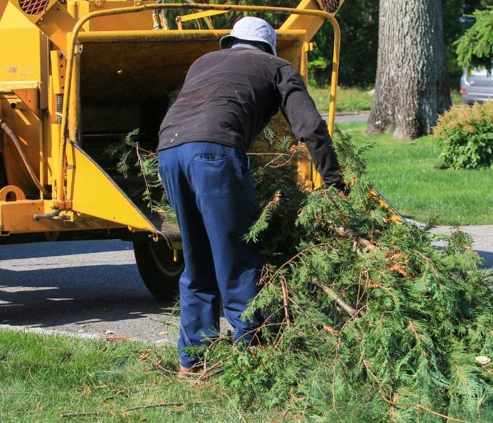Worker in a hard hat feeding tree branches into a yellow wood chipper outdoors.