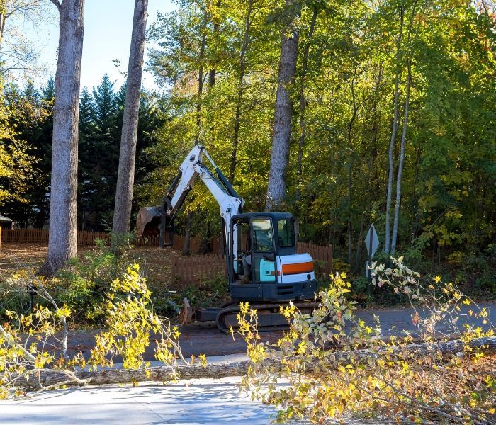 Small excavator working among trees in a wooded area, with autumn foliage and a road in front.