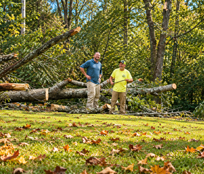 Two workers in a leafy yard beside a fallen tree trunk and branches