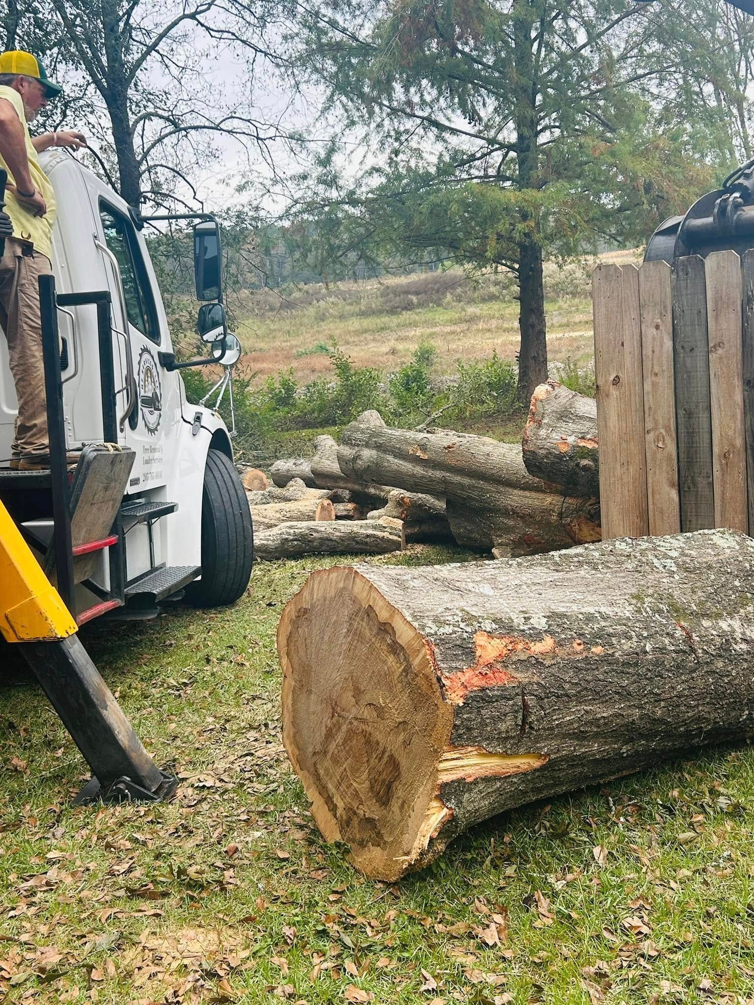 Logs beside a wood chipper in a grassy yard, with stacked cut wood and trees in the background