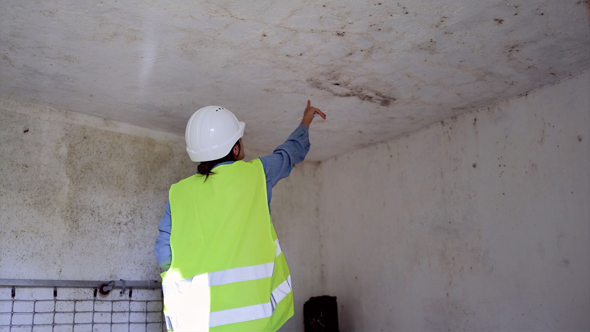 An expert wearing a hard hat points towards the ceiling, indicating an area with mold An expert wearing a hard hat points towards the ceiling, indicating an area with mold