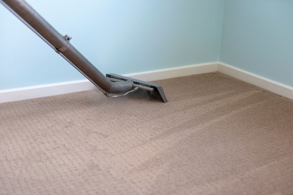 Carpet Cleaning And Steam Carpet Cleaner — Big Red Carpet & Property Maintenance In Airlie Beach, QLD