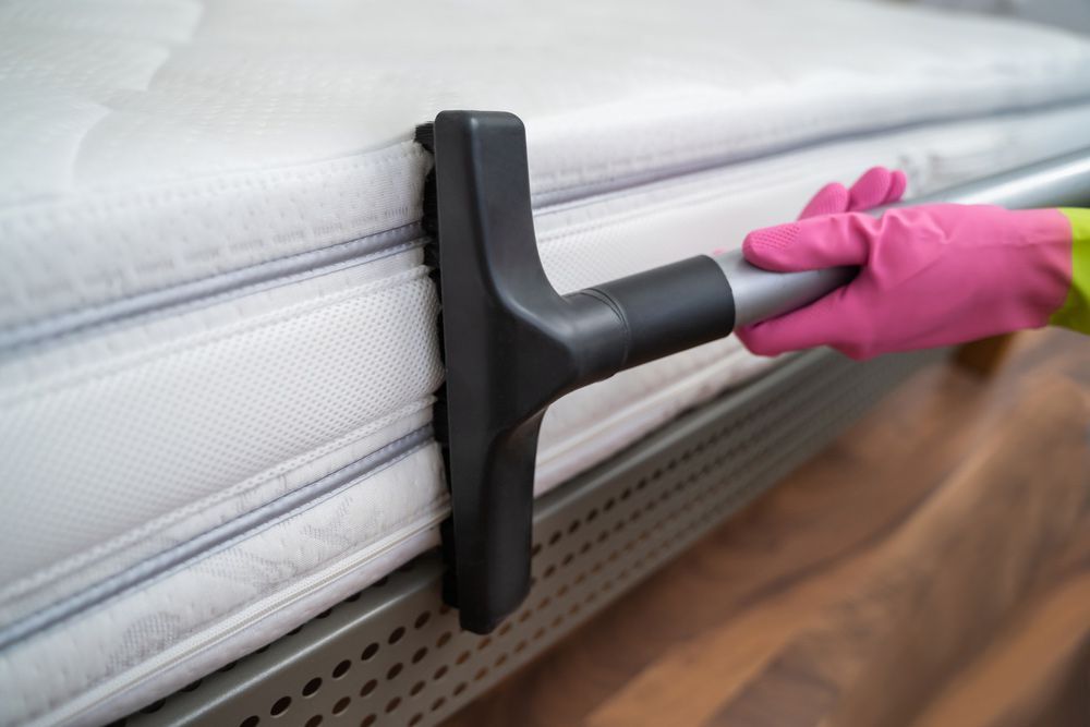 Expert Mattress Cleaning Service With Powerful Vacuum Cleaner — Big Red Carpet & Property Maintenance In Bowen, QLD