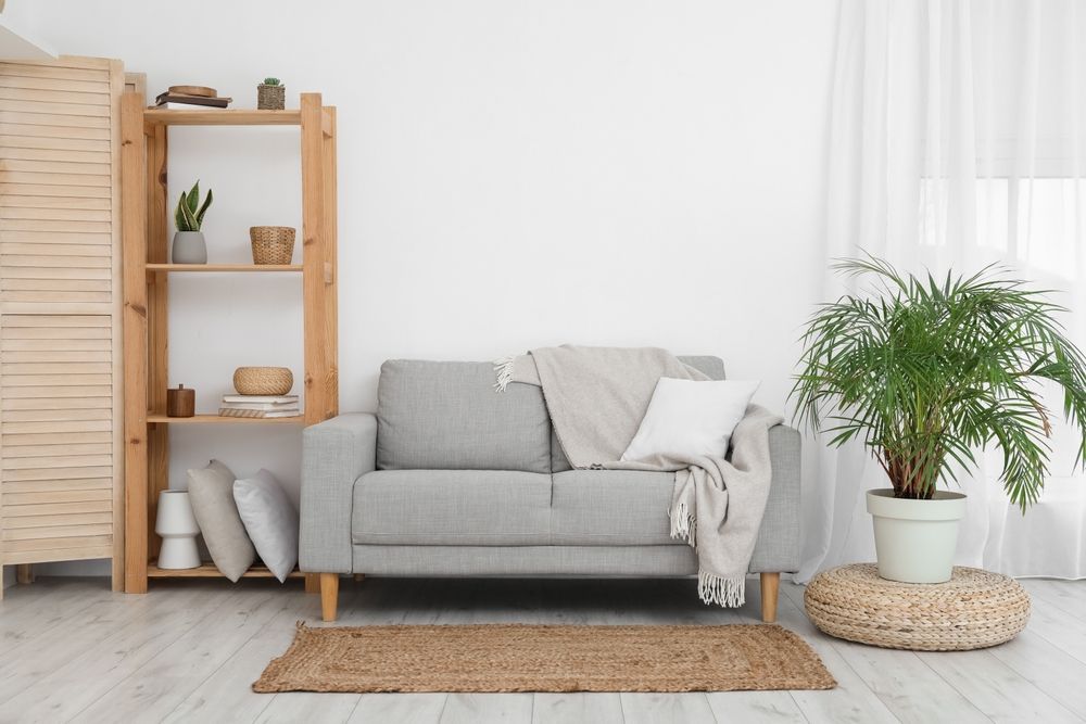 A Living Room With A Couch, Rug And Potted Plants — Big Red Carpet & Property Maintenance In Collinsville, QLD A Living Room With A Couch, Rug And Potted Plants — Big Red Carpet & Property Maintenance In Collinsville, QLD