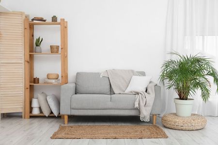 A Living Room With A Couch, Rug And Potted Plants — Big Red Carpet & Property Maintenance In Bowen, QLD A Living Room With A Couch, Rug And Potted Plants — Big Red Carpet & Property Maintenance In Bowen, QLD