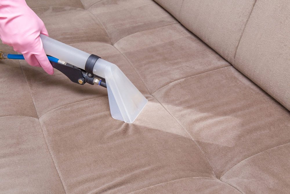 Sofa Chemical Cleaning With Professionally Extraction Method In Room — Big Red Carpet & Property Maintenance In Collinsville, QLD
