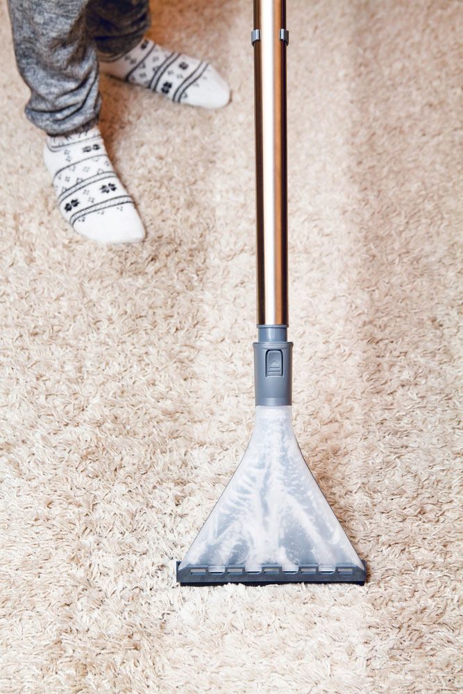 Washing Carpets With A Hoover For Pristine Cleanliness — Big Red Carpet & Property Maintenance In Bowen, QLD