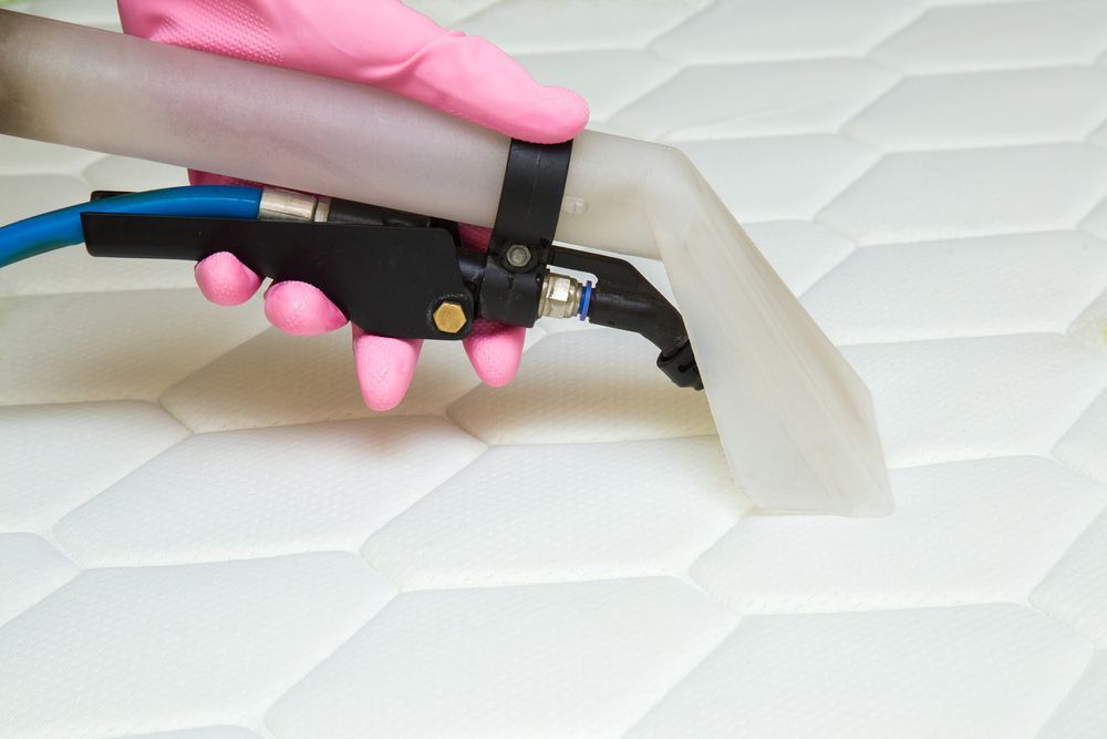 Upholstery Cleaning Vacuum — Big Red Carpet & Property Maintenance In Bowen, QLD