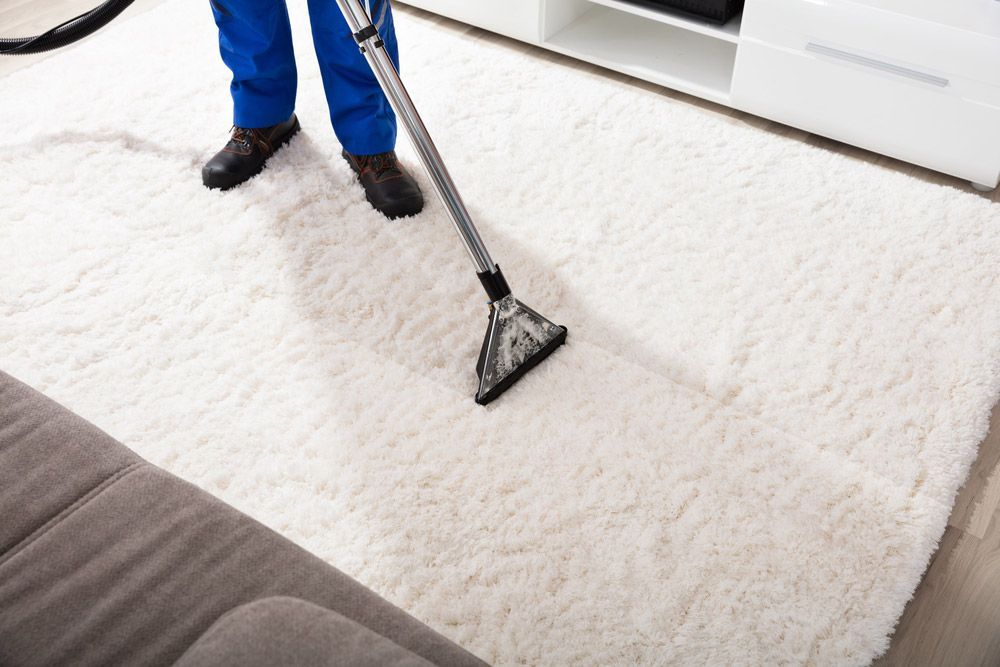 A Worker Cleaning Carpet With Vacuum Cleaner At Home — Big Red Carpet & Property Maintenance In Collinsville, QLD