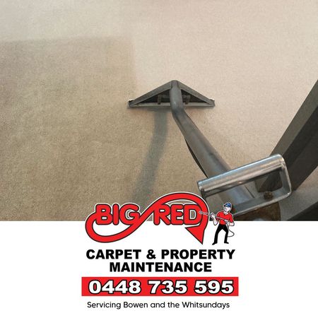 Steam Carpet Cleaning — Big Red Carpet & Property Maintenance In Bowen, QLD Steam Carpet Cleaning — Big Red Carpet & Property Maintenance In Bowen, QLD