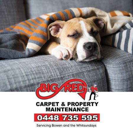 A Person Wearing Blue Gloves Is Cleaning A Couch With A Vacuum Cleaner — Big Red Carpet & Property Maintenance In Bowen, QLD A Person Wearing Blue Gloves Is Cleaning A Couch With A Vacuum Cleaner — Big Red Carpet & Property Maintenance In Bowen, QLD