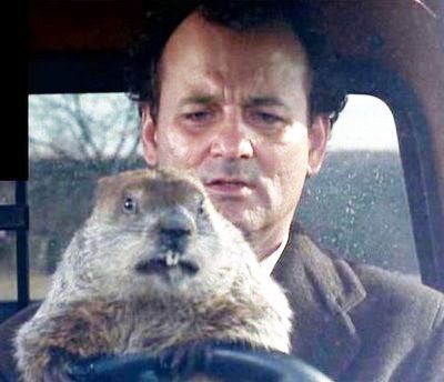Man in a vehicle with a groundhog in the foreground, both looking ahead.