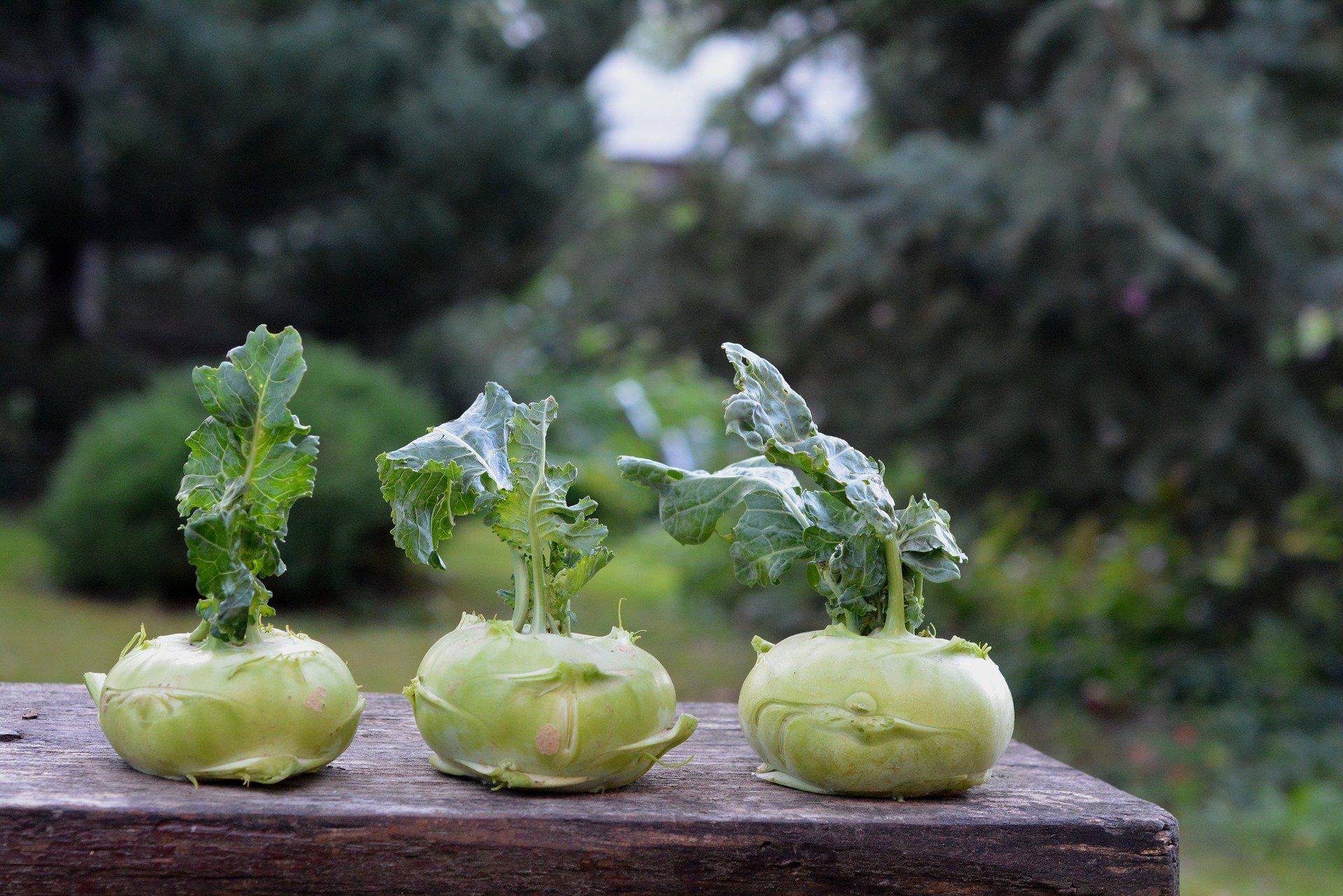 Three green vegetables with clear water splashing up on a wooden ledge outdoors.