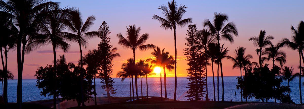 Palm trees silhouetted against a vivid sunset over the ocean