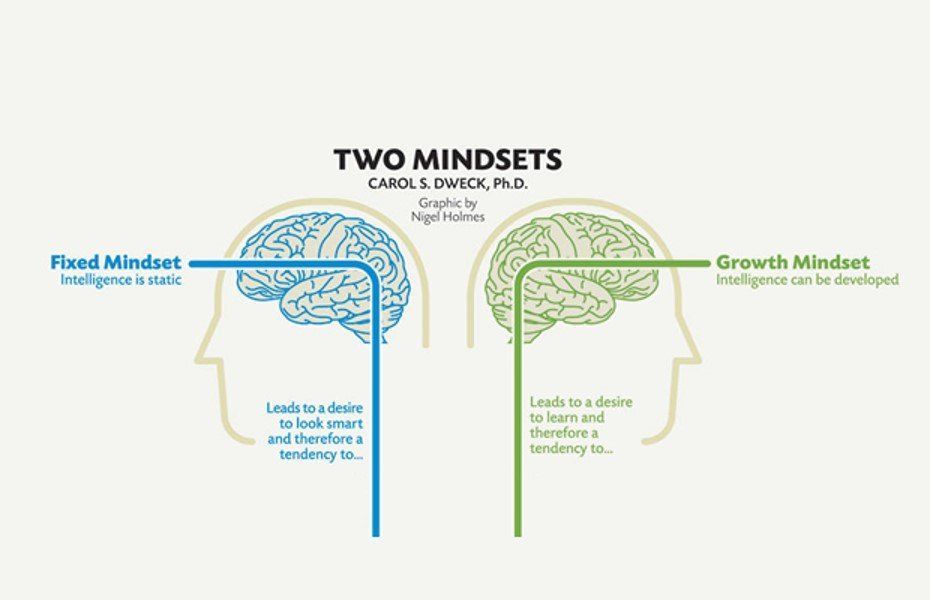 Infographic comparing blue fixed mindset and green growth mindset profiles with brain illustrations.