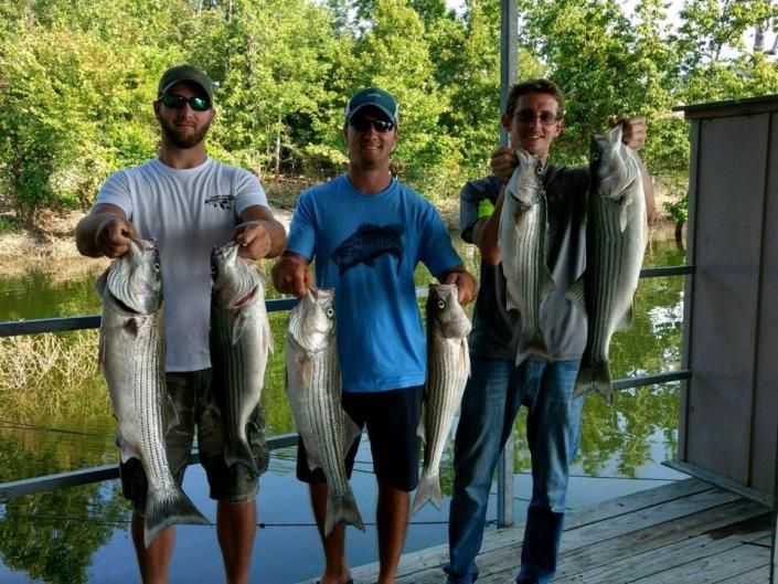 Three anglers on a dock holding large fish beside a calm lake and trees.