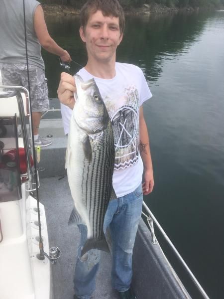 Person on a boat holding a large striped fish over calm water.