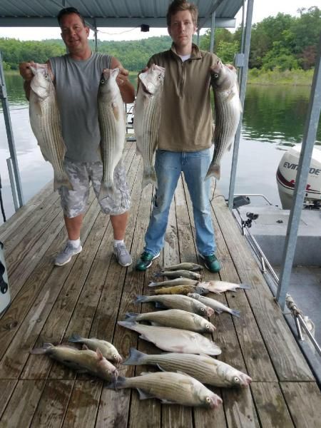 Two people on a dock holding large fish, with more fish laid out on the wooden planks.