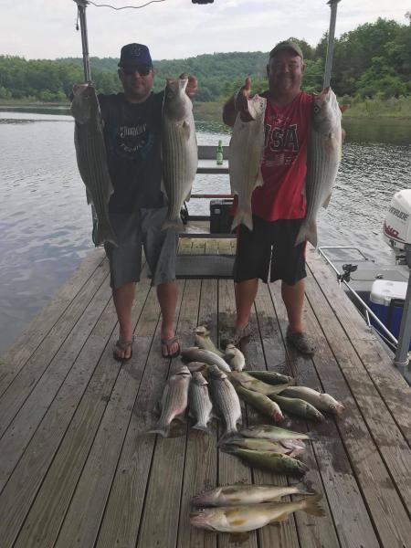 Two people on a dock holding large fish, with more fish laid out on the wooden planks by the water.